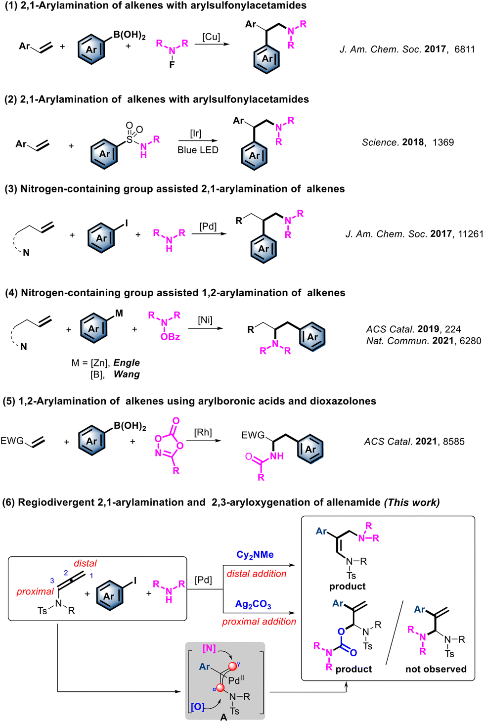 Palladium-catalyzed regiodivergent arylamination/aryloxygenation 