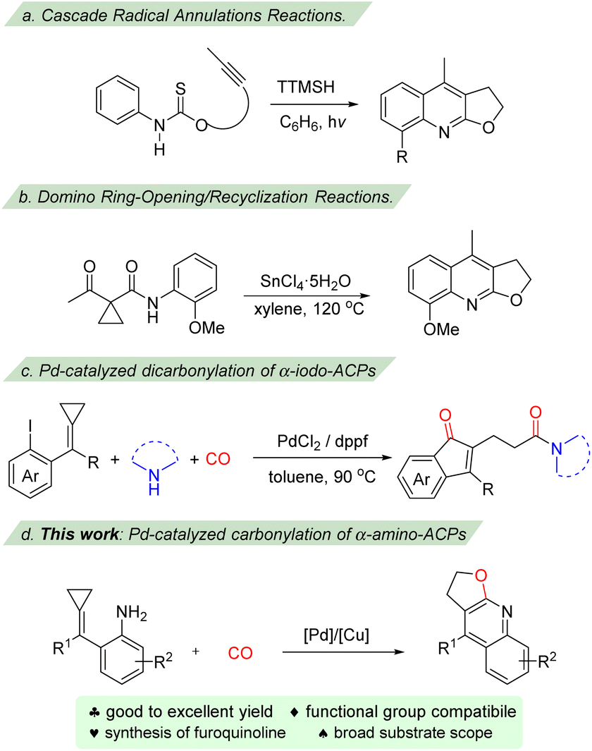 Pd/Cu catalyzed carbonylation of α-aminoaryl-tethered  alkylidenecyclopropanes: synthesis of furoquinoline derivatives - Organic  Chemistry Frontiers (RSC Publishing) DOI:10.1039/D2QO01420C