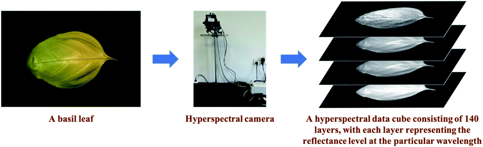 Effective band selection of hyperspectral image by an attention