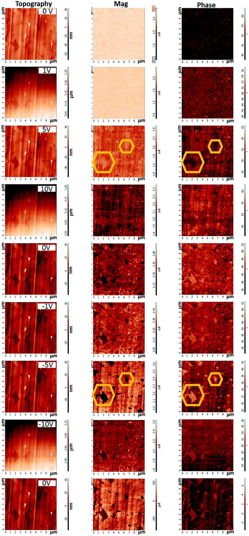 Spectroscopic imaging in piezoresponse force microscopy: New opportunities  for studying polarization dynamics in ferroelectrics and multiferroics