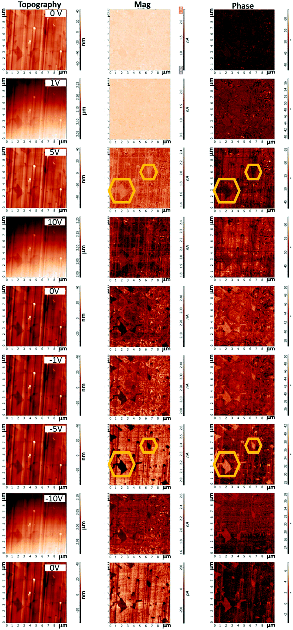 Interplay of piezoresponse and magnetic behavior in Bi 0.9 A 0.1 FeO 2.95  (A = Ba, Ca) and Bi 0.9 Ba 0.05 Ca 0.05 FeO 2.95 co-doped ceramics - RSC  Advances (RSC Publishing) DOI:10.1039/D1RA08141A