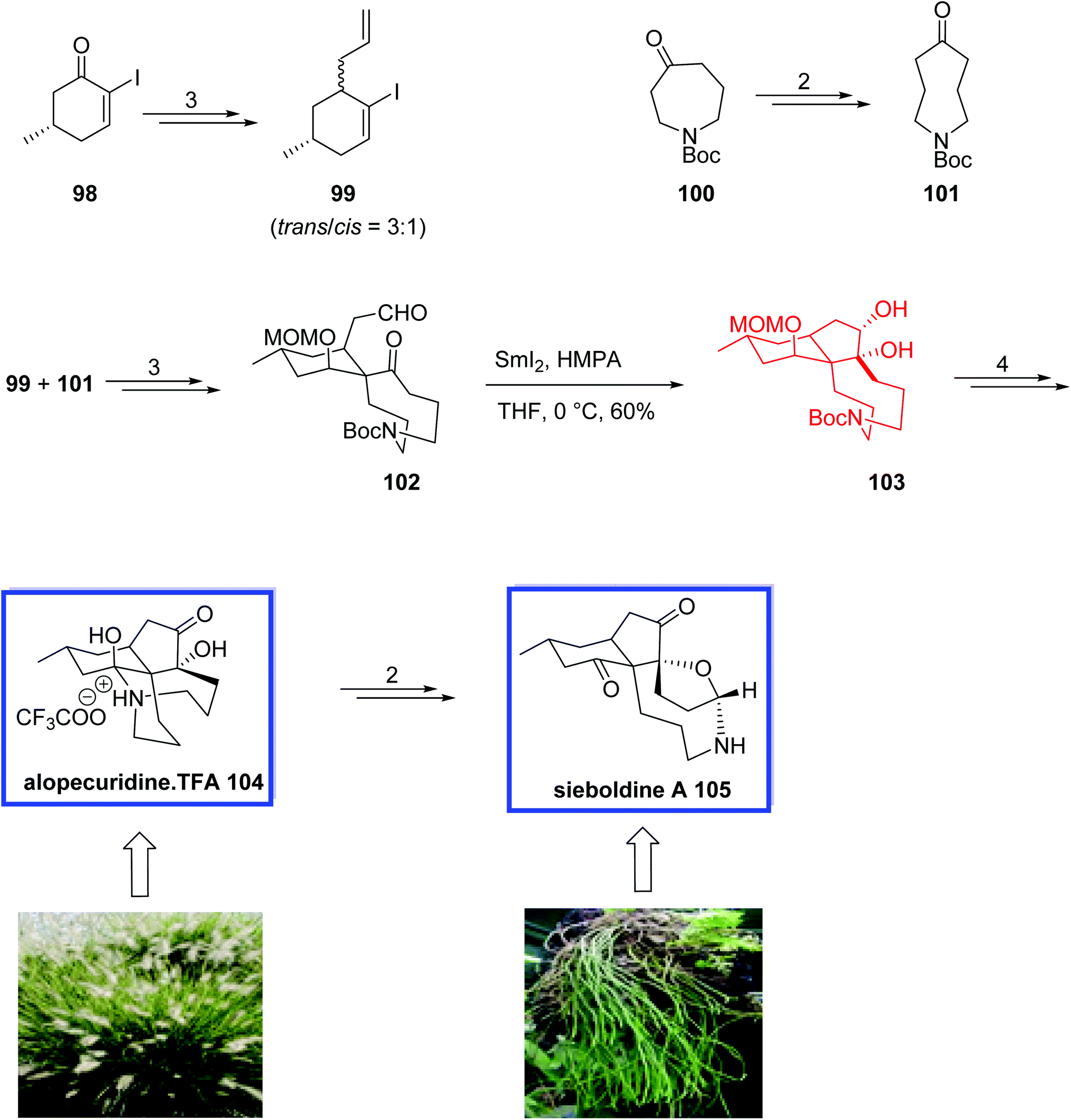 Samarium(II)‐Promoted Cyclizations of Nonactivated Indolyl
