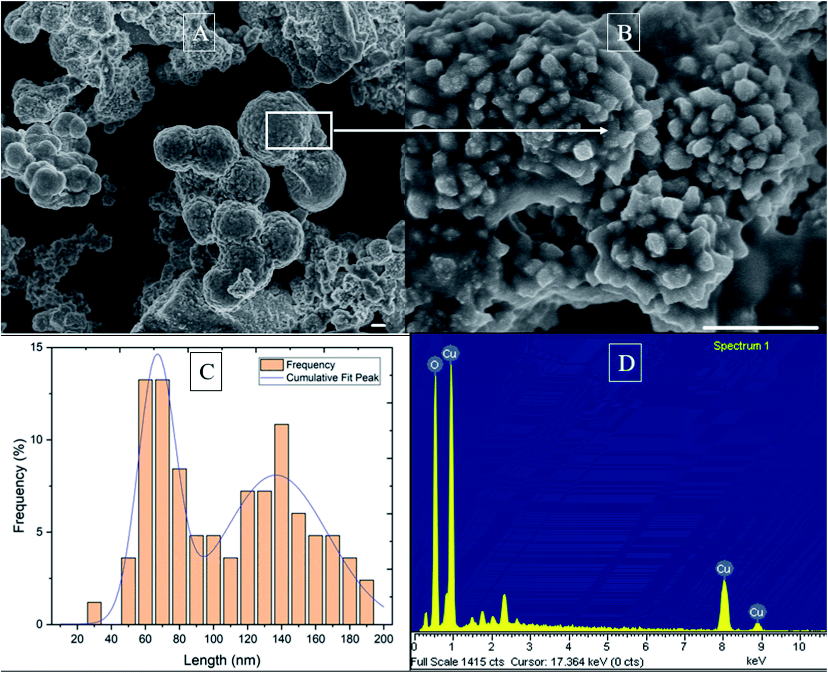 Antibacterial effect of copper nanoparticles produced in a