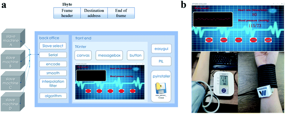 A highly accurate flexible sensor system for human blood pressure and heart  rate monitoring based on graphene/sponge - RSC Advances (RSC Publishing)  DOI:10.1039/D1RA08608A