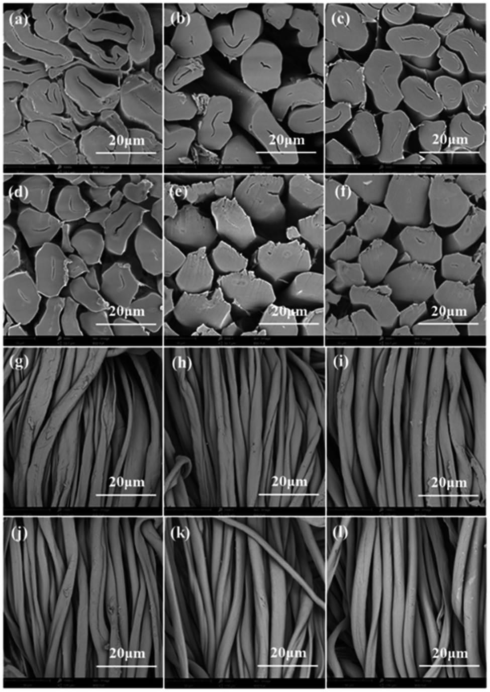 Insights into coloration enhancement of mercerized cotton fabric