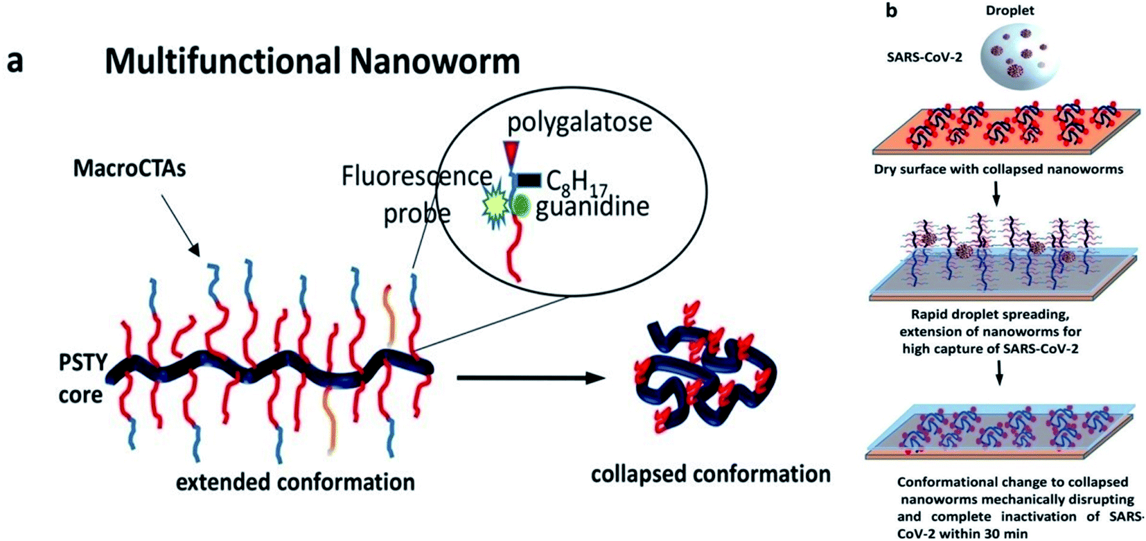 A novel N95 respirator with chitosan nanoparticles: mechanical, antiviral,  microbiological and cytotoxicity evaluations