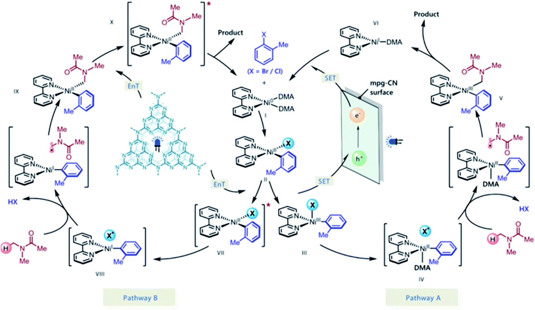 Recent advances in visible-light graphitic carbon nitride (g-C 3 N 