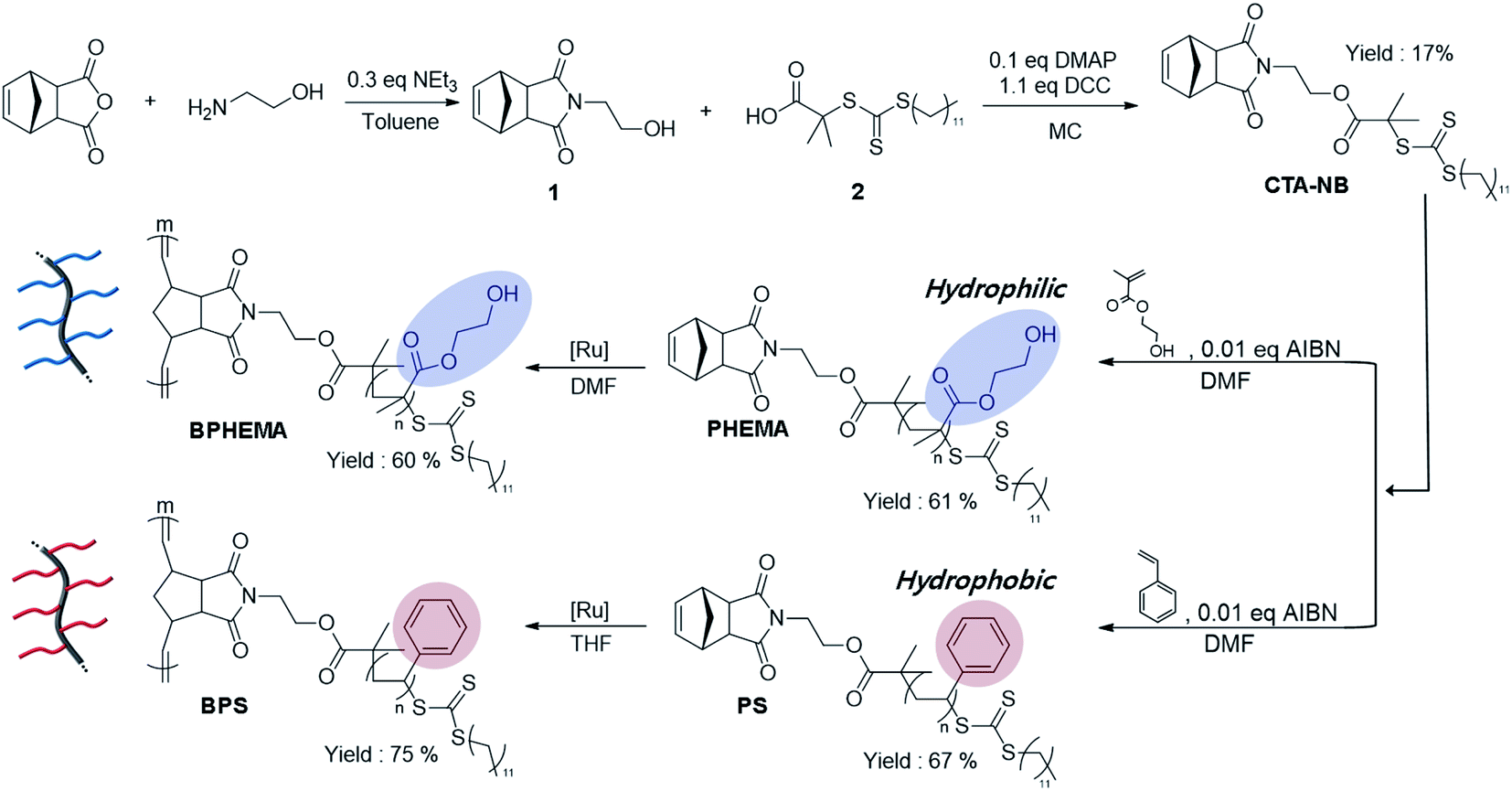 Aqueous lubrication and wear properties of nonionic bottle-brush