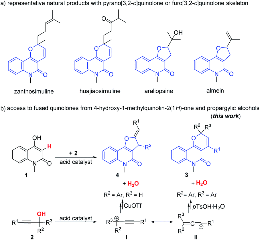 Synthesis of Isoquinoline-Derived Diene Esters and  Quinolin-2(1H)-ylidene-Substituted 1,5-Diones from Enynones and (Iso)  Quinoline N-Oxides