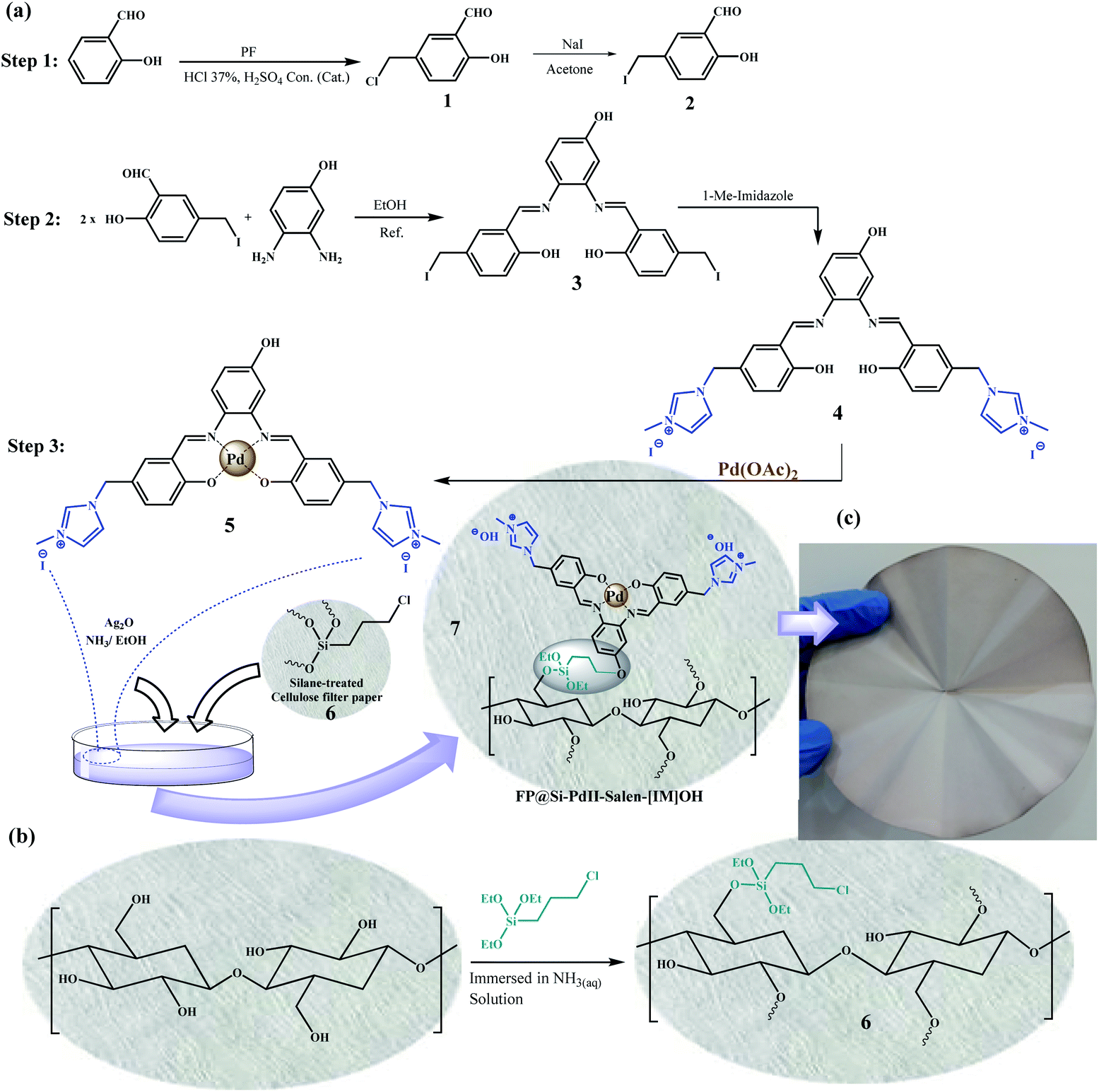 Catalytic filtration: efficient C-C cross-coupling using Pd (II) -salen  complex-embedded cellulose filter paper as a portable catalyst - RSC  Advances (RSC Publishing) DOI:10.1039/D2RA03440A