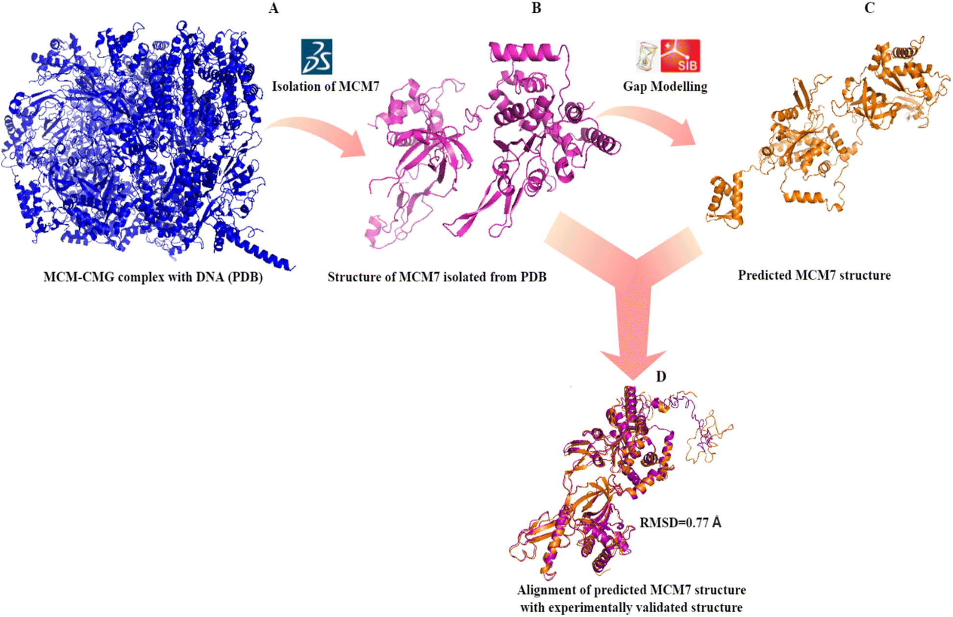 RCSB PDB - MCM Ligand Summary Page