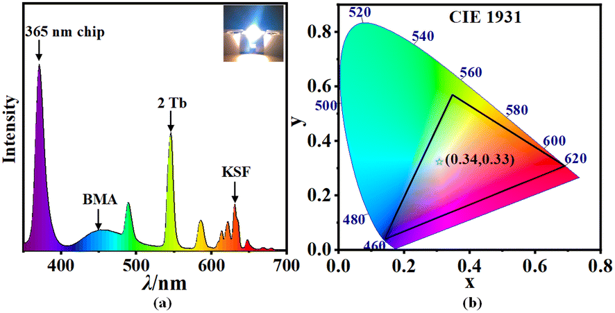 Achieving stable photoluminescence by double thiacalix[4]arene 