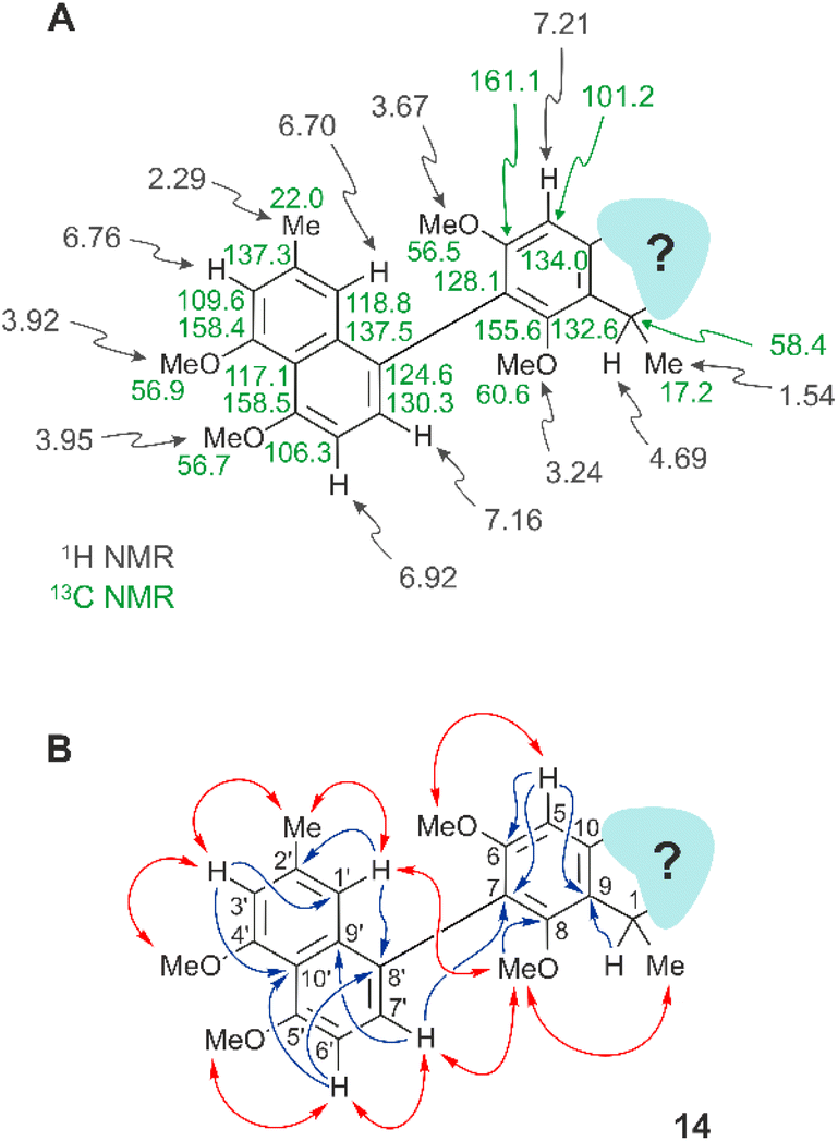 Naphthylisoindolinone alkaloids: the first ring-contracted  naphthylisoquinolines, from the tropical liana Ancistrocladus abbreviatus ,  with cytotoxic ... - RSC Advances (RSC Publishing) DOI:10.1039/D2RA05758A