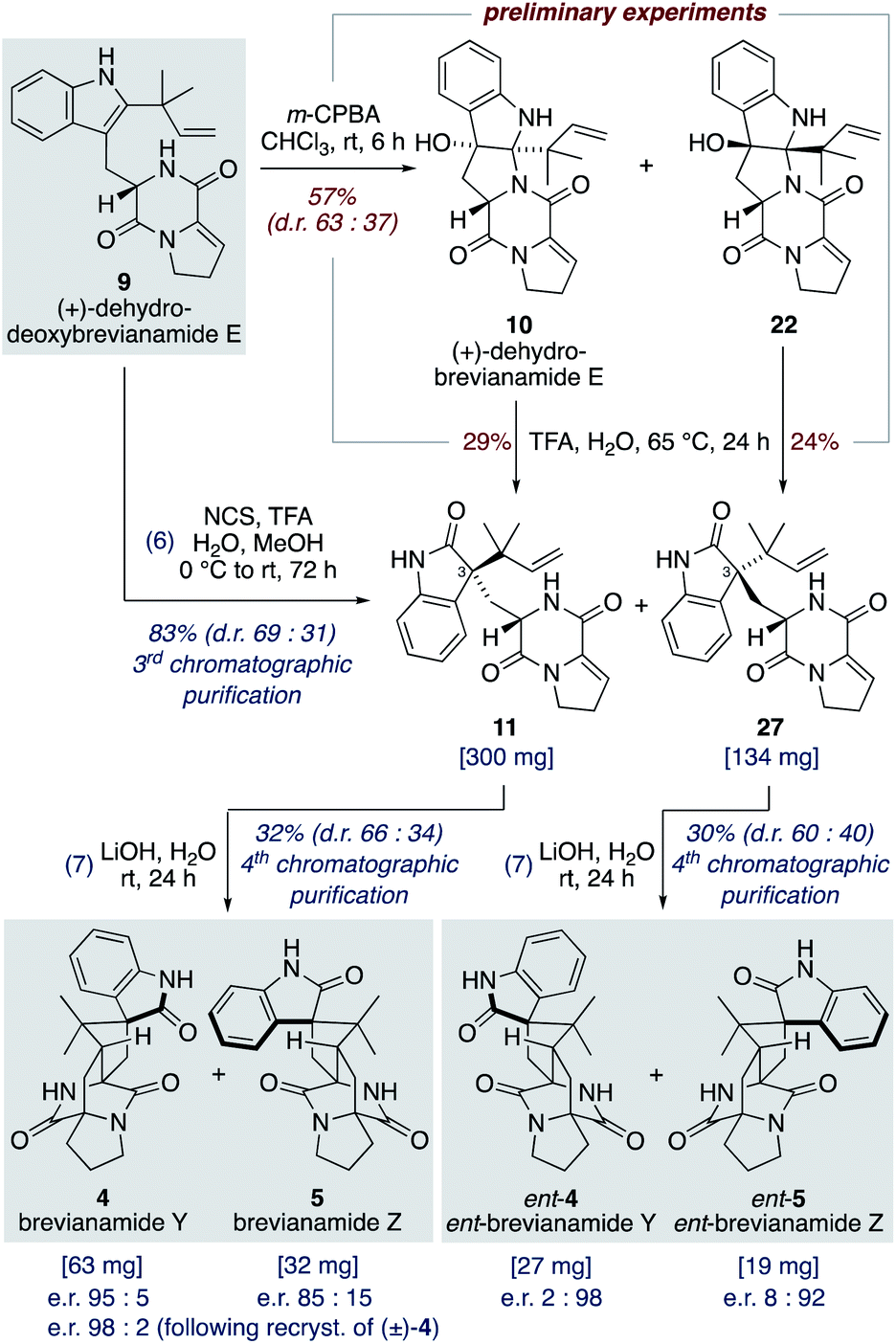 Unified total synthesis of the brevianamide alkaloids enabled by 