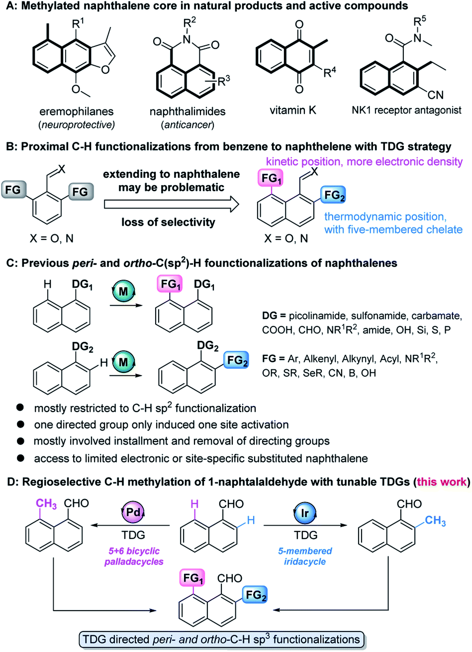 Overcoming peri - and ortho -selectivity in C–H methylation of  1-naphthaldehydes by a tunable transient ligand strategy - Chemical Science  (RSC Publishing) DOI:10.1039/D1SC05899A