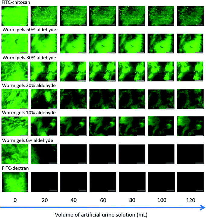 image file: d2sc02074b-f4.tif