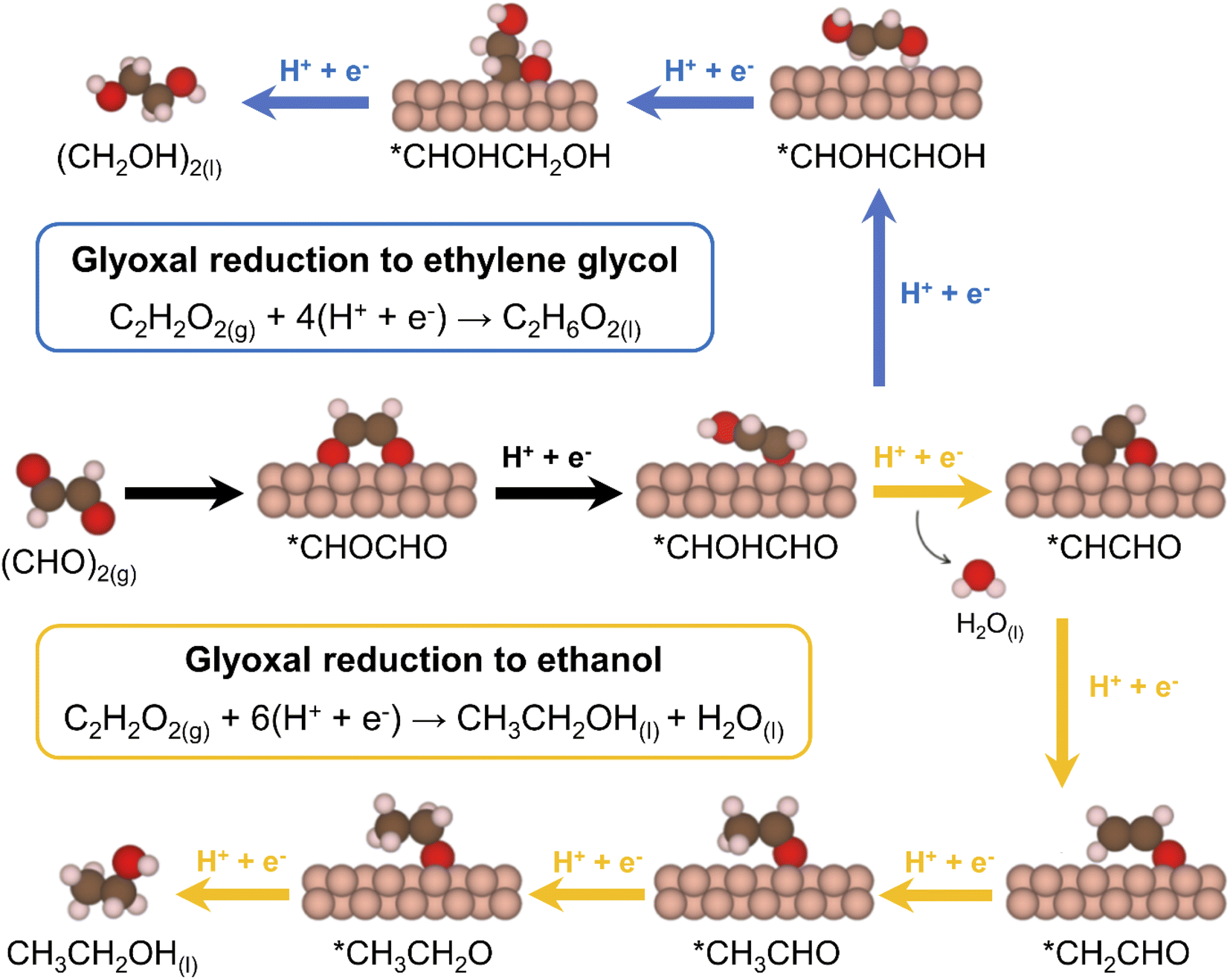 Formation of 1-Butanol from CO2 without *CO Dimerization on a