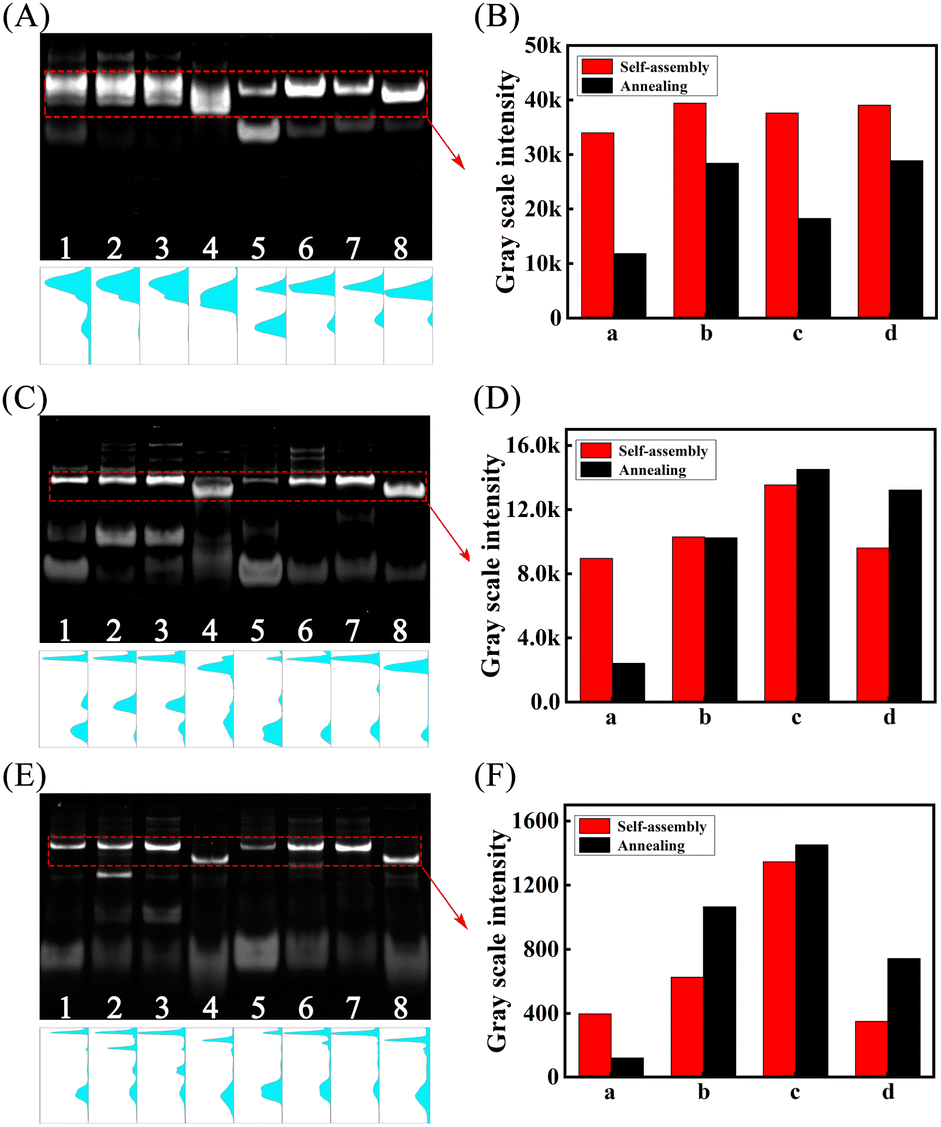 Programmable mismatch-fueled high-efficiency DNA signal