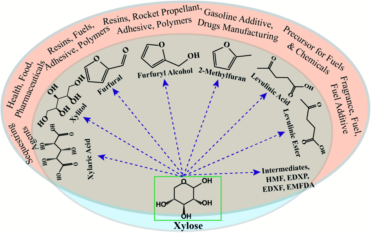 Valorizing food wastes: assessment of novel yeast strains for enhanced  production of single-cell protein from wasted date molasses