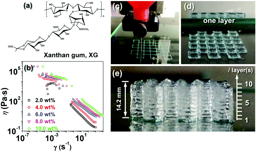 Silk Hydrogels with Controllable Formation of Dityrosine,  3,4-Dihydroxyphenylalanine, and 3,4-Dihydroxyphenylalanine–Fe3+ Complexes  through Chitosan Particle-Assisted Fenton Reactions