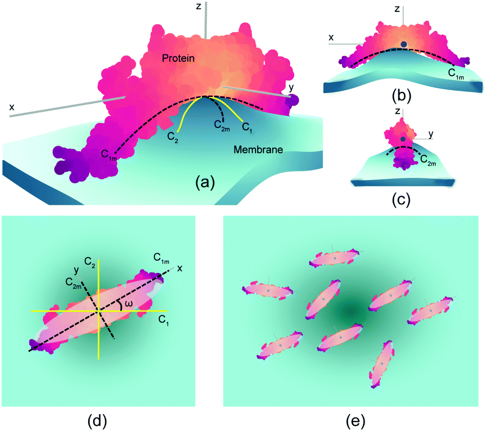 Protein electrostatics: From computational and structural analysis to  discovery of functional fingerprints and biotechnological design -  Computational and Structural Biotechnology Journal