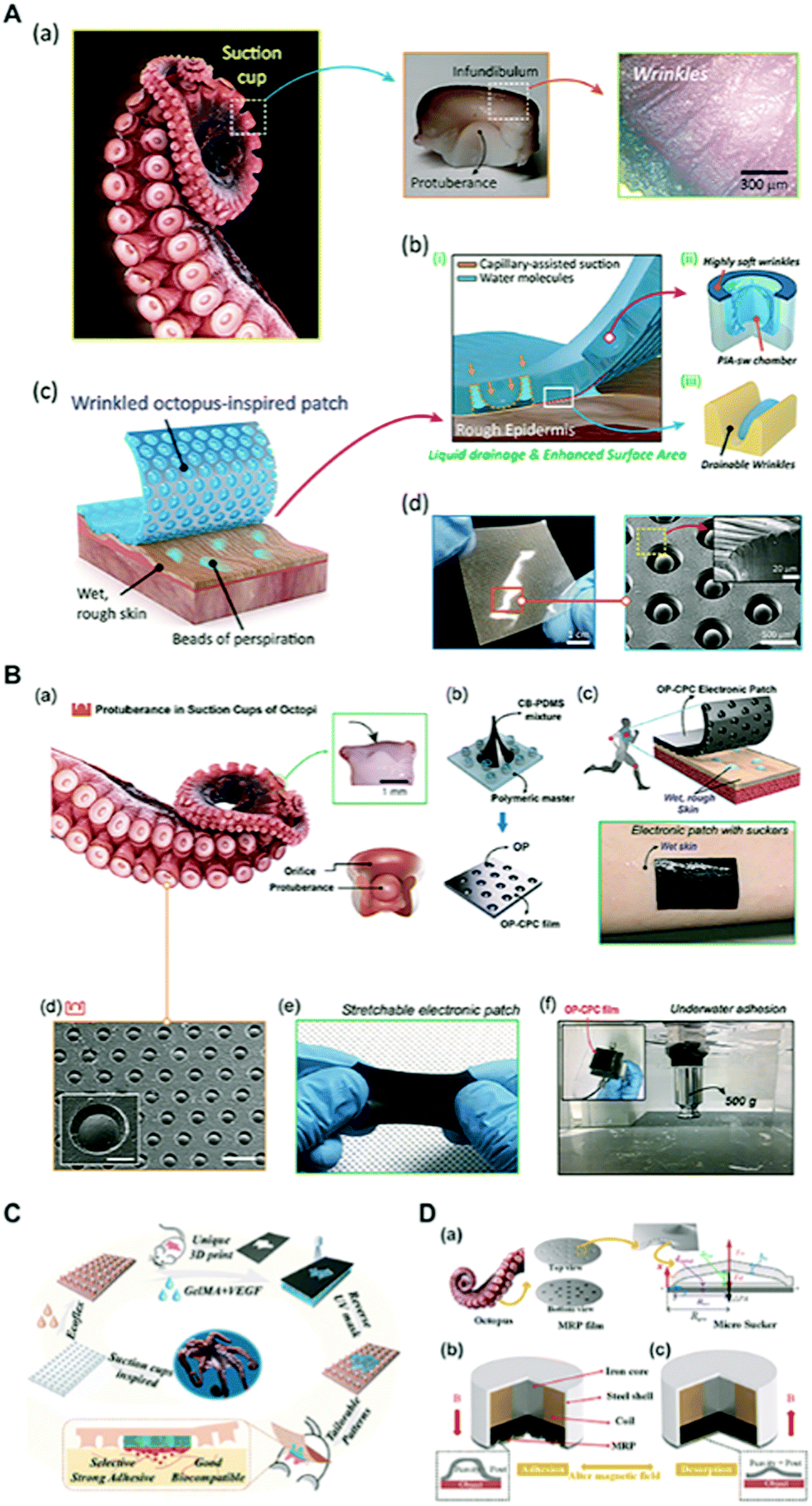 A wet-tolerant adhesive patch inspired by protuberances in suction