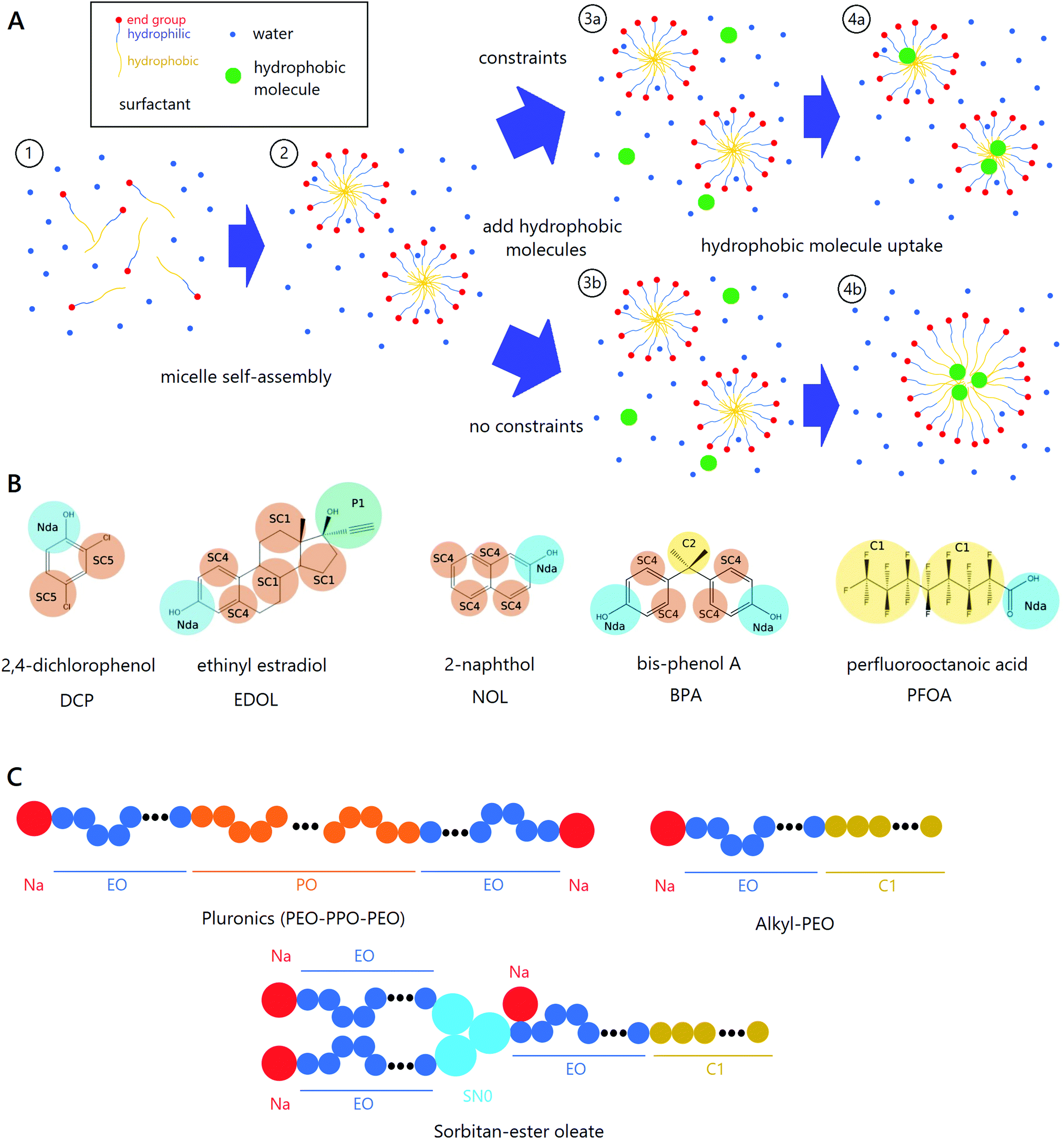 Molecular dynamics simulation of a polysorbate 80 micelle in water - Soft  Matter (RSC Publishing)