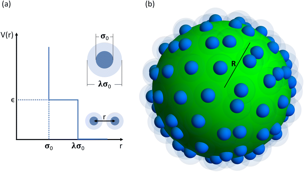 Interplay between spherical confinement and particle shape on the self-assembly  of rounded cubes