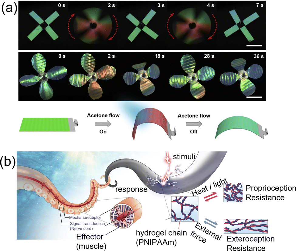 Multicomponent and multifunctional integrated miniature soft 