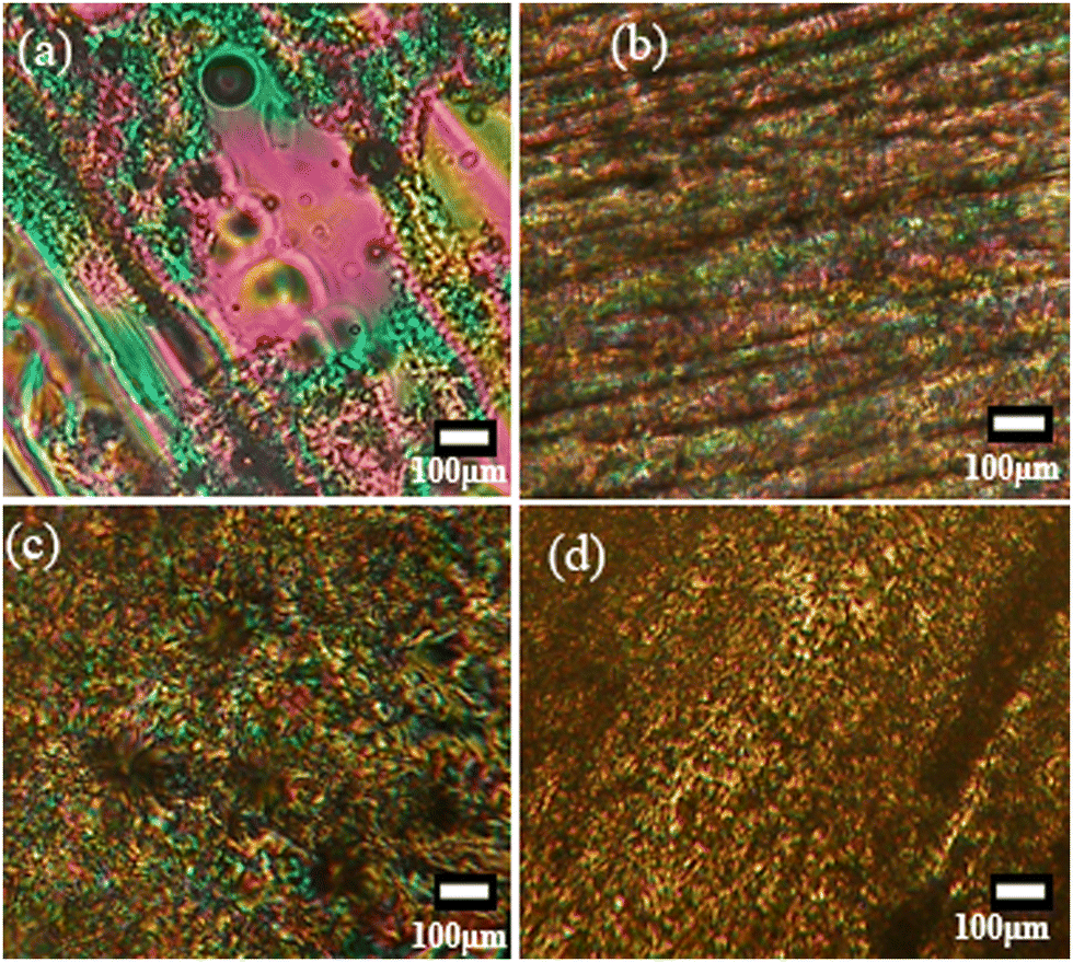 Self-assembled materials from cellulose nanocrystals