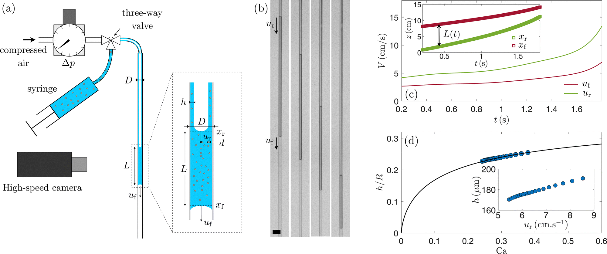 Particulate suspension coating of capillary tubes - Soft Matter (RSC  Publishing) DOI:10.1039/D2SM01211A