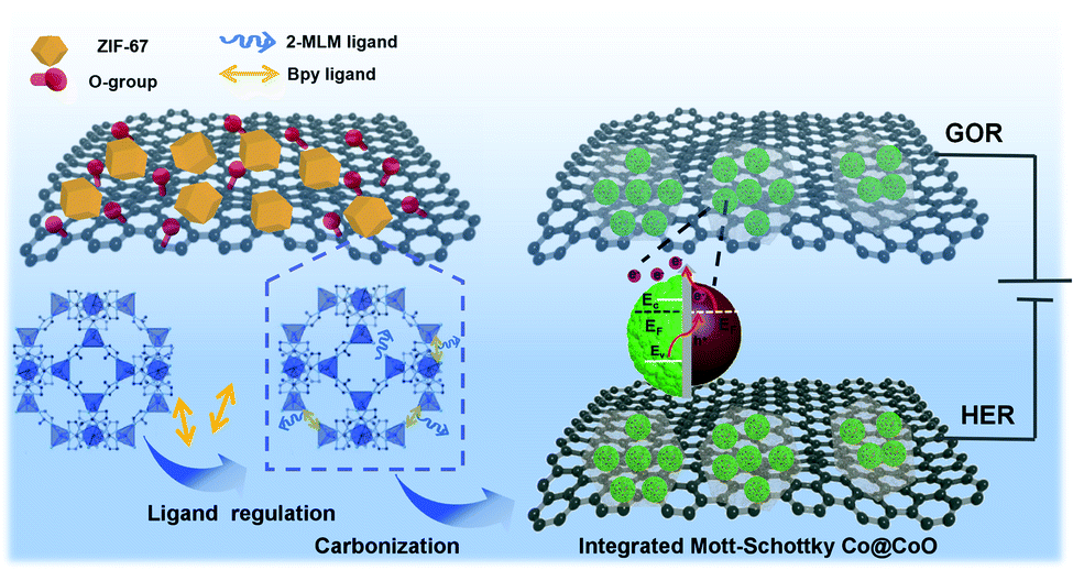 Heterogeneity in a metal–organic framework in situ guides