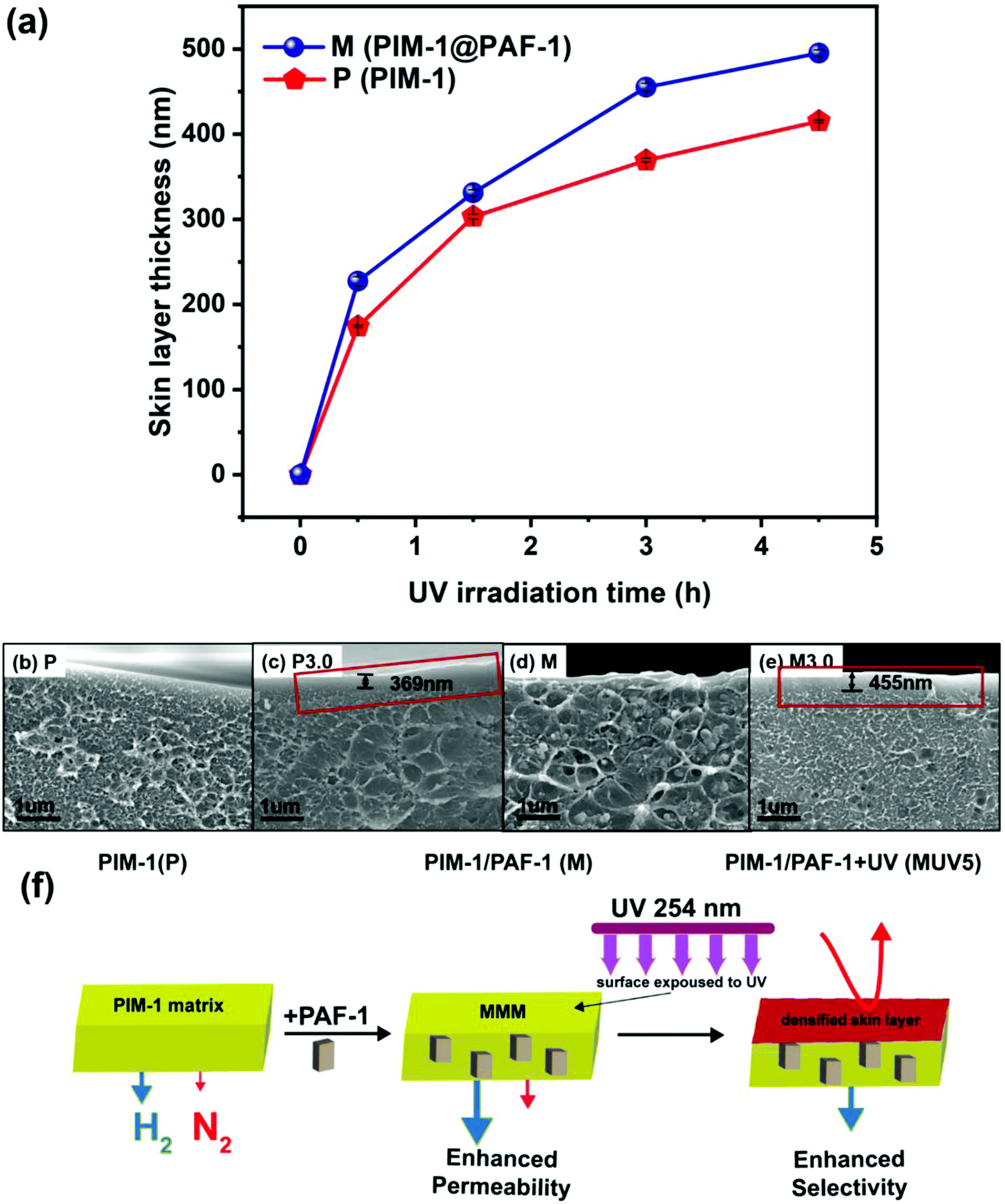Synergistically improved PIM-1 membrane gas separation performance by PAF-1  incorporation and UV irradiation - Journal of Materials Chemistry A (RSC  Publishing) DOI:10.1039/D2TA00138A