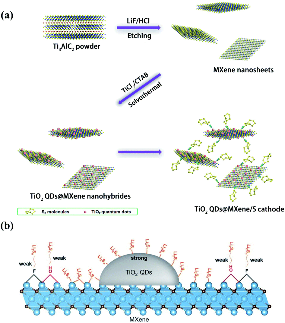 2D single- and few-layered MXenes: synthesis, applications and 