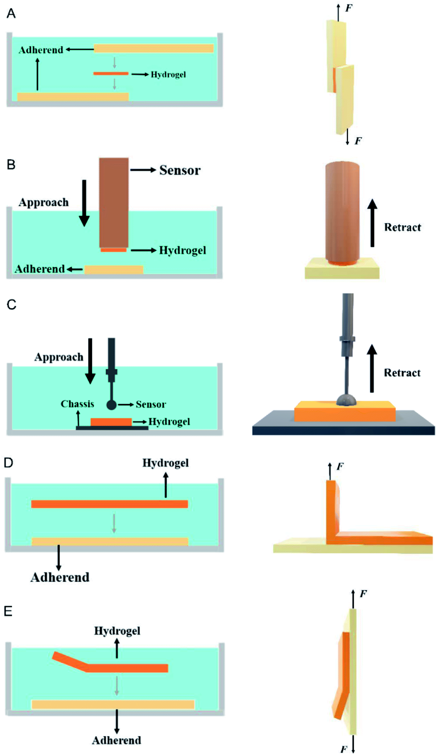 Hydrogel electrodes with conductive and substrate-adhesive layers
