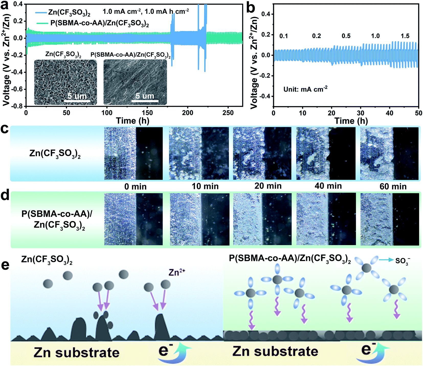 Nitrogen-doped hollow carbon nanoboxes in zwitterionic
