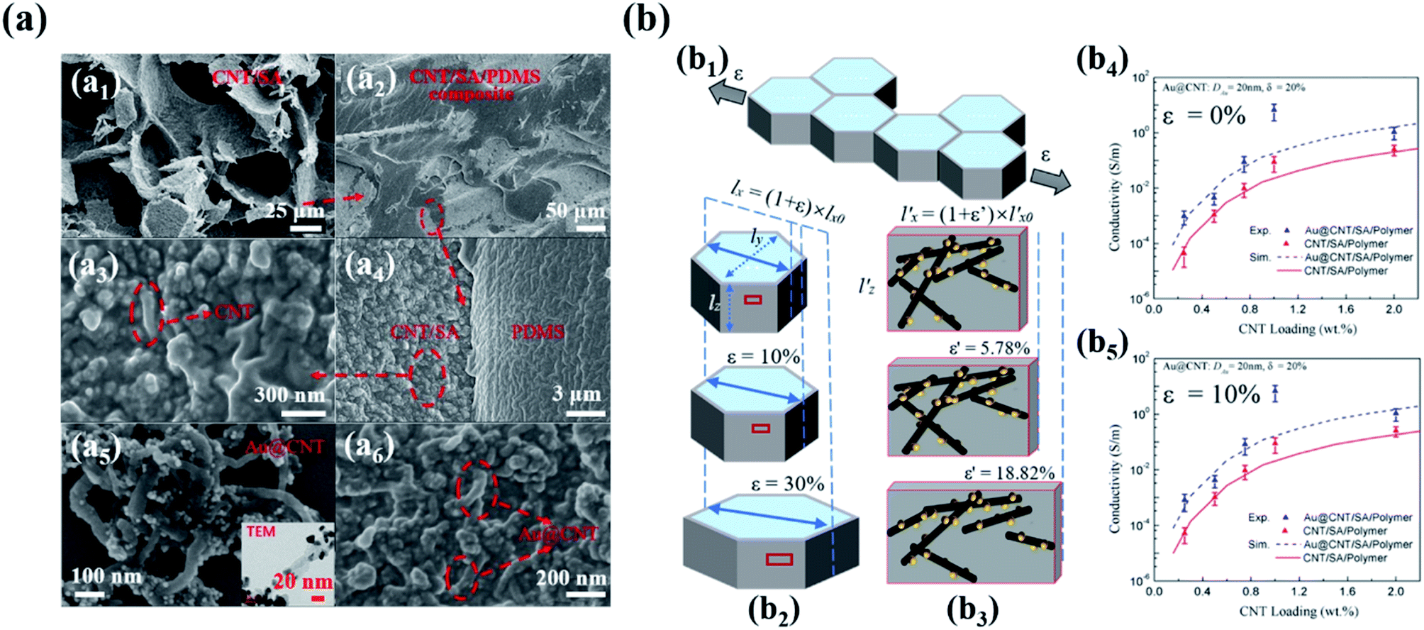 Marine polysaccharide-based electromagnetic absorbing/shielding 