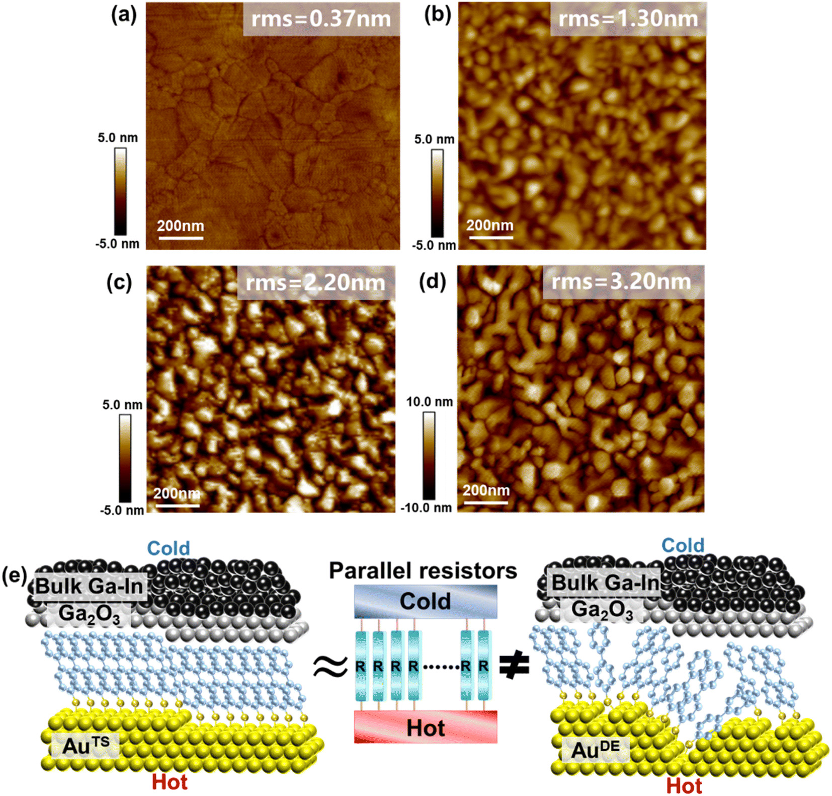 Dependence of thermoelectric effects in molecular junctions on the