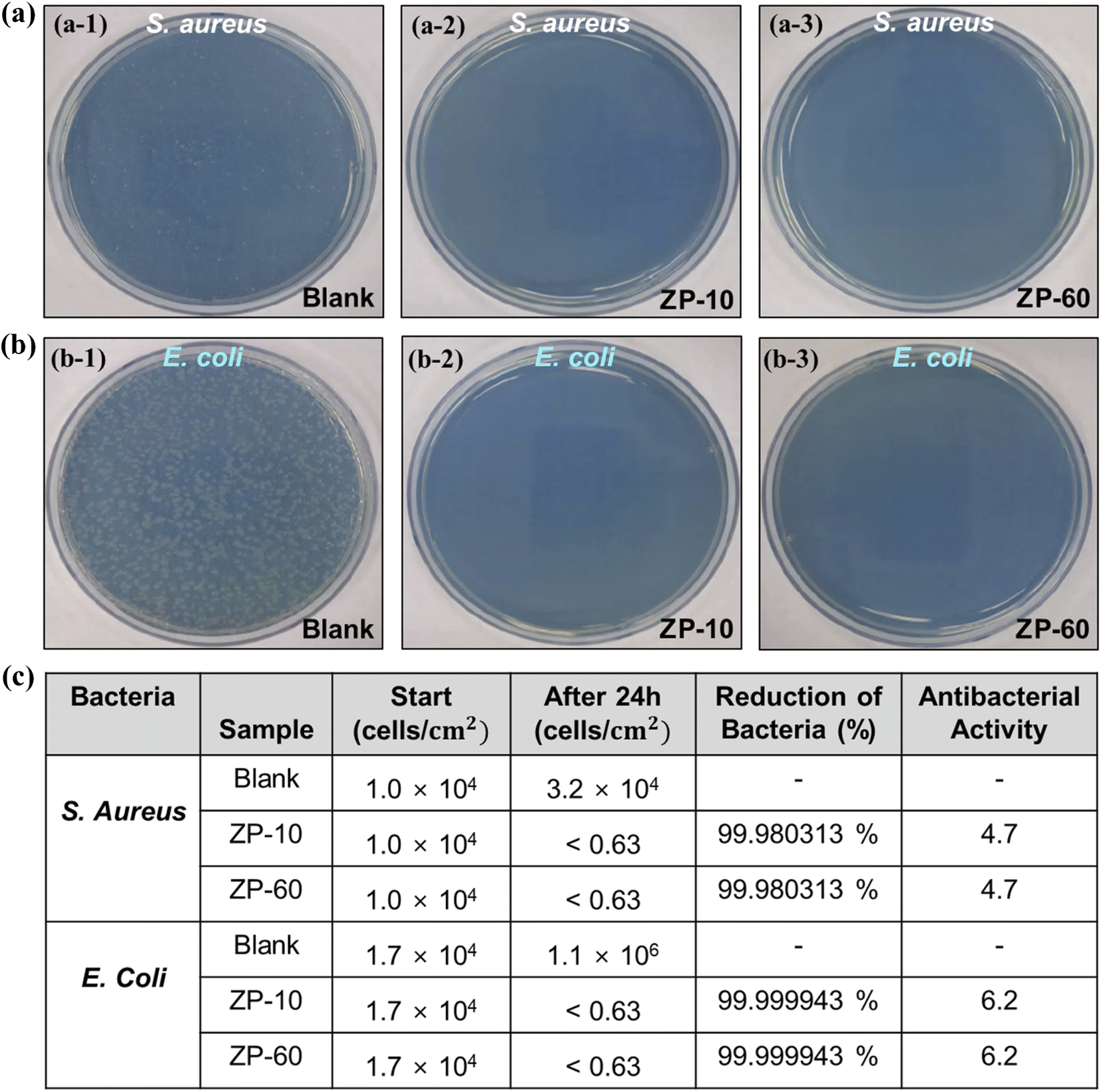 ZnO–PTFE-based antimicrobial, anti-reflective display coatings and 