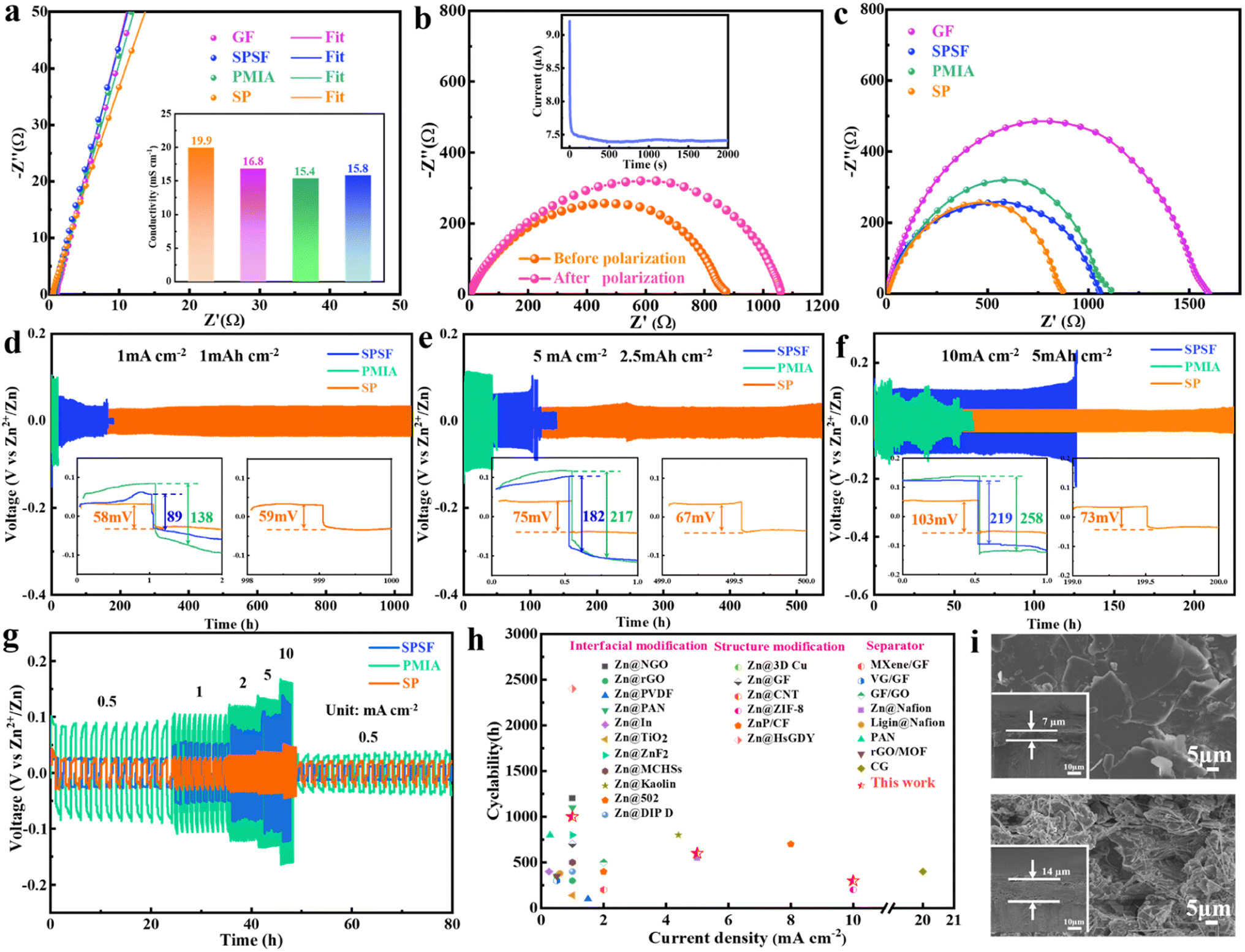 I Constructing 3D Zincophilic Skeleton in Nitrogen-Doped
