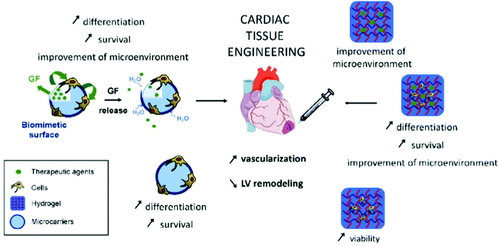 Construction of tissue-customized hydrogels from cross-linkable 