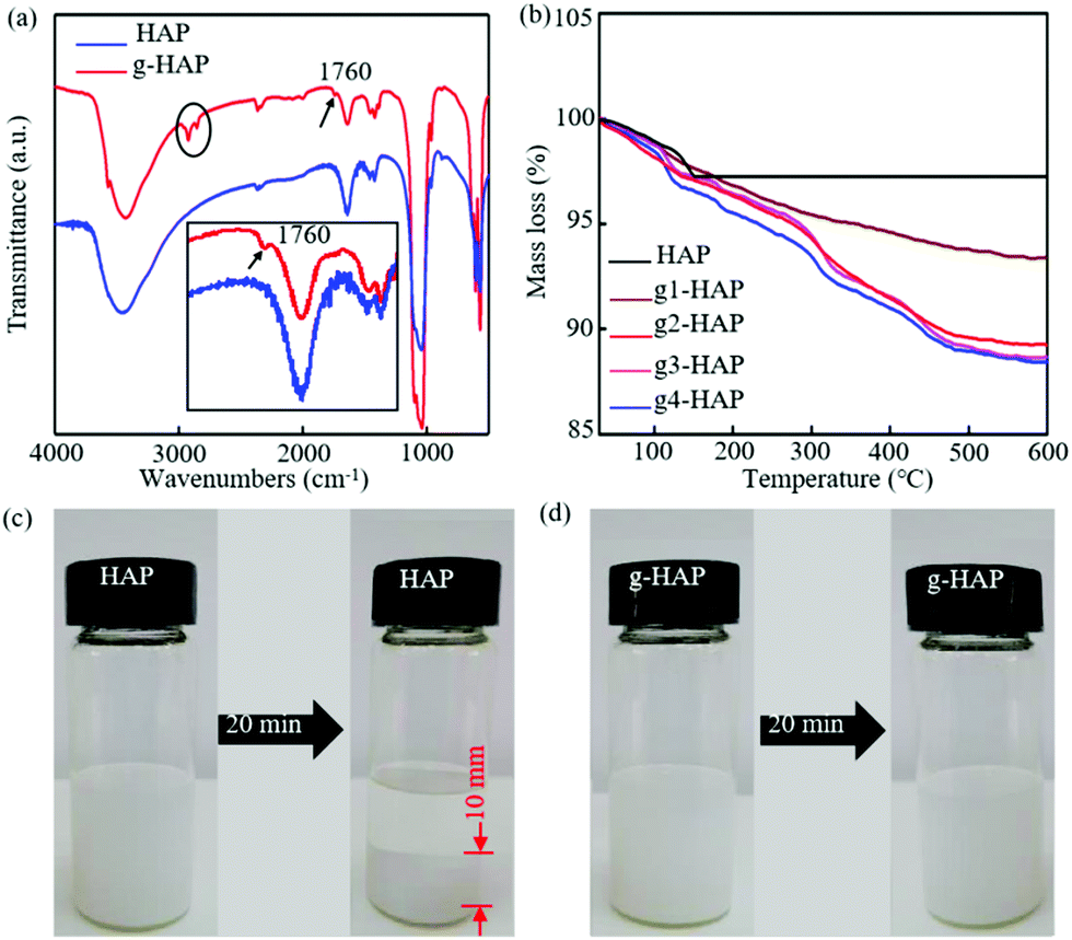 Construction of a stereocomplex between poly( d -lactide) grafted 