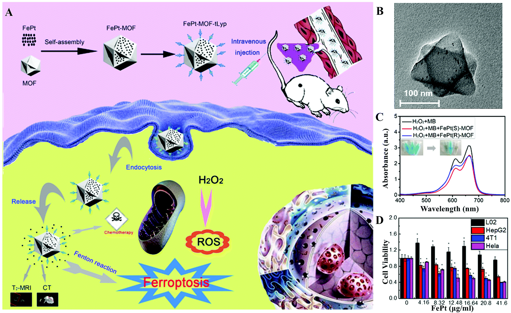 Advances in FePt-involved nano-system design and application for 