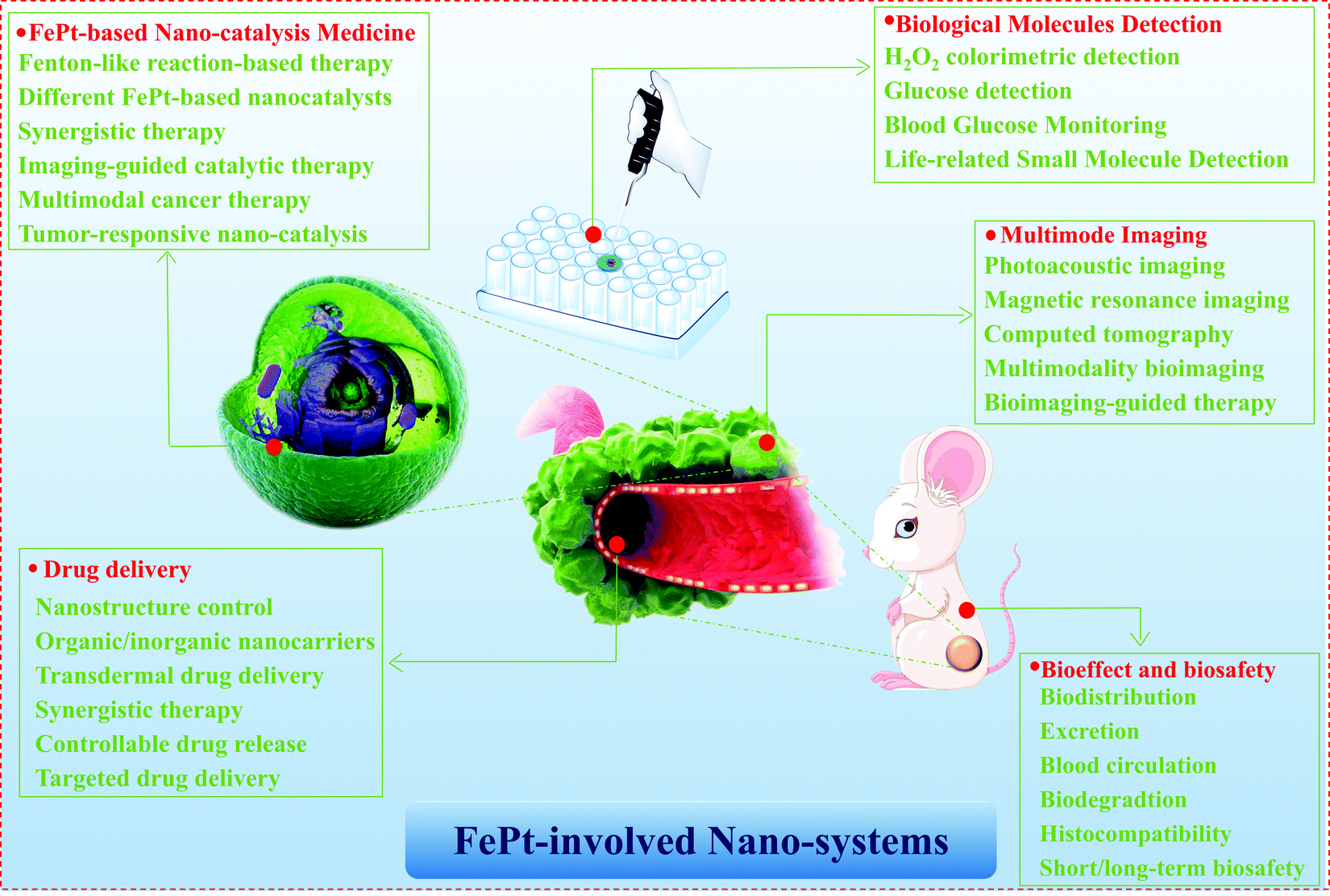 Advances in FePt-involved nano-system design and application for 