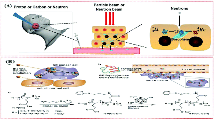 Borophene as an emerging 2D flatland for biomedical applications