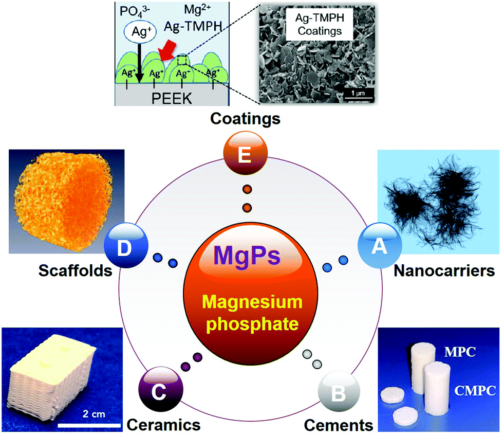 Biodegradable magnesium phosphates in biomedical applications 