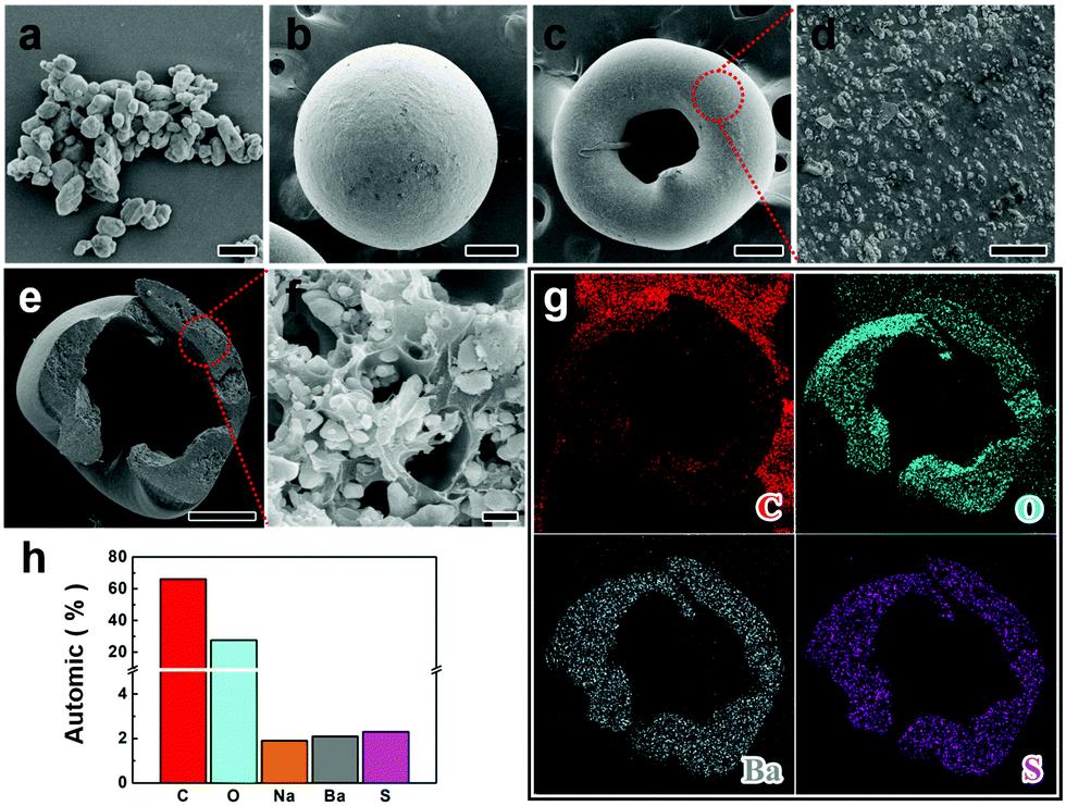 The sodium hyaluronate microspheres fabricated by solution drying 