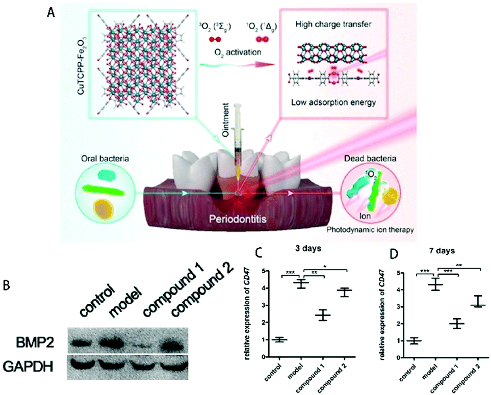 Current status and prospect of ZIF-based materials for breast