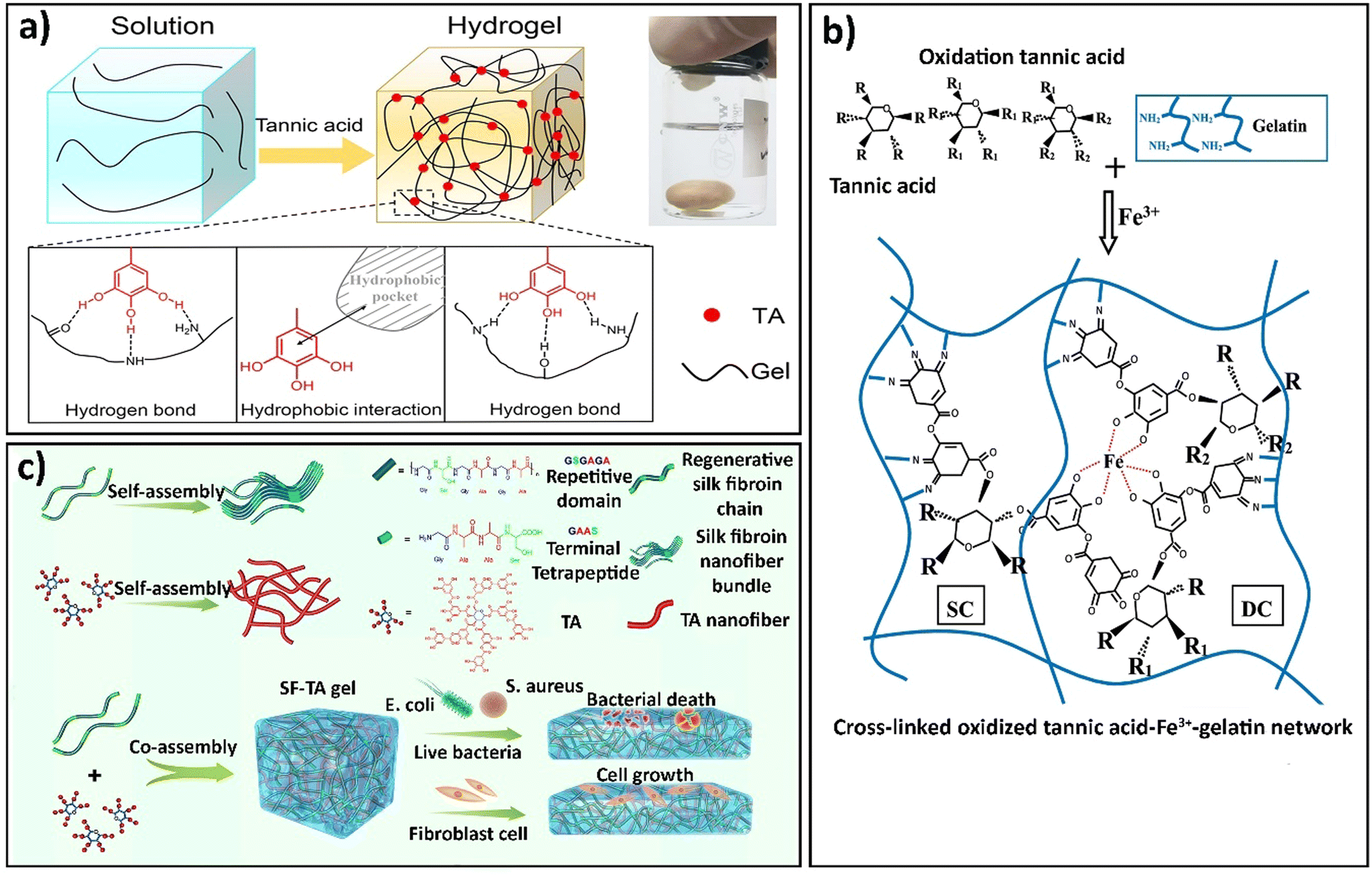 Tannic acid: a versatile polyphenol for design of biomedical