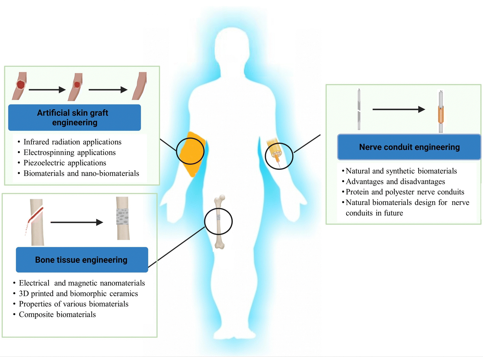 Smart Bioceramics for Orthopedic Applications